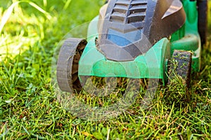 Lawn mower cutting green grass in backyard