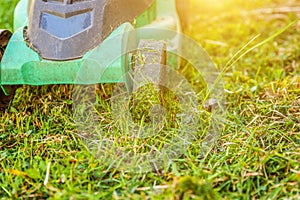 Lawn mower cutting green grass in backyard