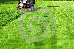 Lawn mower cutting green grass in backyard