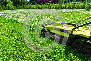 Lawn mower cutting green grass in backyard