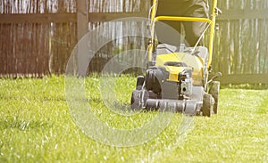 Lawn mower cutting green grass in backyard, garden service.