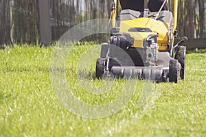 Lawn mower cutting green grass in backyard, garden service.