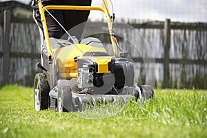 Lawn mower cutting green grass in backyard, garden service.