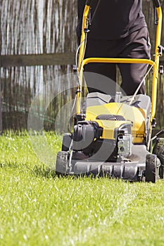 Lawn mower cutting green grass in backyard, garden service.