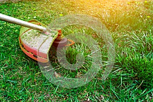 Lawn mower cutting green grass in backyard.Gardening background
