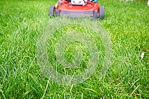 Lawn mower. photo