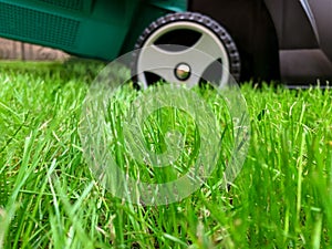 Lawn mower cutting green grass in the backyard. Gardening background.Grass close-up and wheel of a lawn mowing machine, yard care