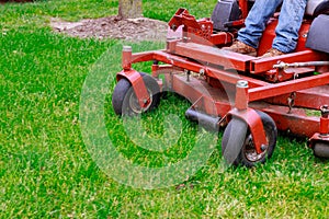 Lawn mower cutting green grass in backyard