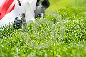 Lawn mower cutting green grass in garden.