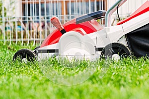 Lawn mower cutting green grass in garden.