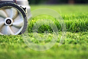 Lawn mower cutting green grass