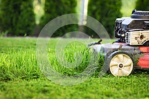 Lawn mower cutting green grass