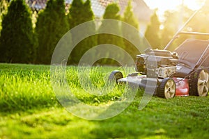 Lawn mower cutting green grass in sunlight
