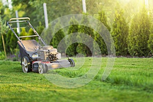 Lawn mower cutting green grass in sunlight