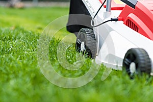 Lawn mower cutting green grass.