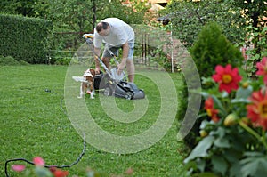 Lawn Mower and Dog