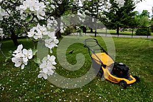 Lawn mower in the garden