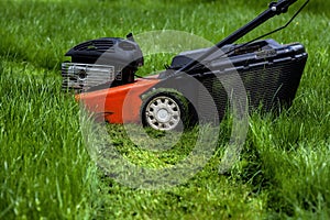 Lawn mower in garden