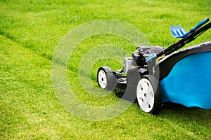 Lawn mower in the garden