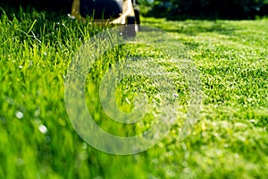 Lawn mower on the green grass