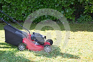 Lawn mower on green lawn home garden