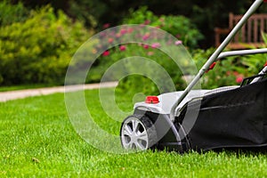 Lawn mower on a lawn