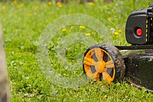 Lawn mower. Mow the lawn with a lawn mower.