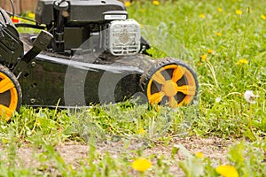 Lawn mower. Mow the lawn with a lawn mower.