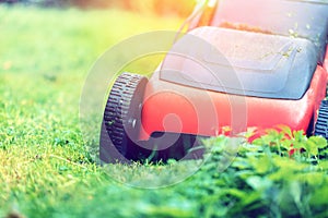Lawn mower mower grass equipment mowing gardener care work tool
