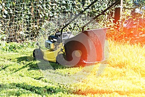 lawn mower on a sunny day, man mowing the lawn in the backyard