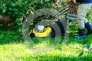 lawn mower on a sunny day, man mowing the lawn in the backyard
