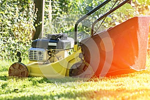 lawn mower on a sunny day, man mowing the lawn in the backyard