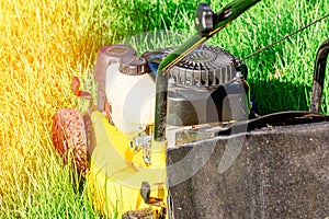 lawn mower on a sunny day, man mowing the lawn in the backyard