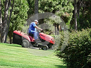 Lawn mowing