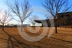 Lawn outside the National Stadium