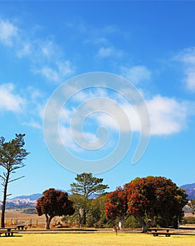 The lawn for picnics. Wooden tables and benches