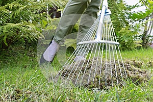 Lawn raking. Work in the garden