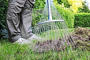 Lawn raking. Work in the garden