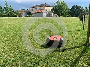 Lawn robot mows the lawn. Robotic Lawn Mower cutting grass in th