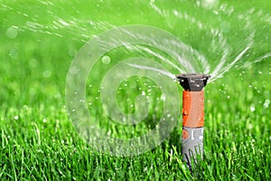 Lawn Sprinkler