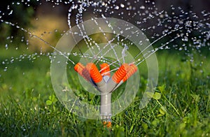 Lawn sprinkler