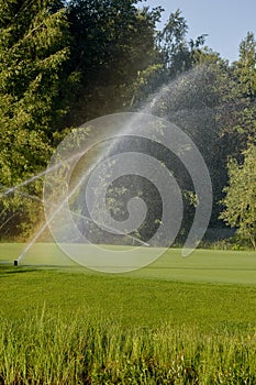 Lawn Sprinkler in Action. Garden Sprinkler Watering Grass. Automatic Sprinklers