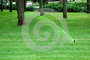 Lawn Sprinkler in Action. Garden Sprinkler Watering Grass. Automatic Sprinklers.