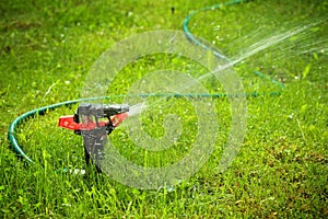 Lawn sprinkler with copyspace