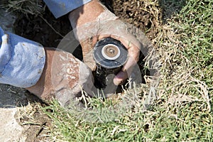 Lawn sprinkler repairing photo