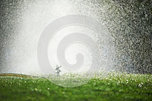 Lawn sprinkler spaying water