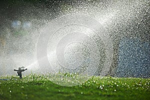 Lawn sprinkler spaying water