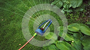 Lawn sprinkler spaying water over green grass.