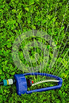 Lawn sprinkler spaying water over green grass.