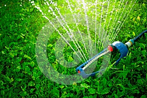 Lawn sprinkler spaying water over green grass.